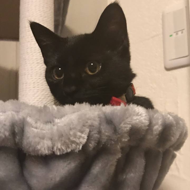 C94884c9 1d35 42a7 9ada 29746ca6b4d6 1665446624575