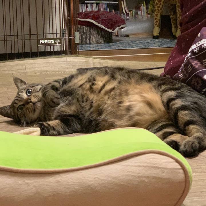 C948a858 2565 42fe a135 c0b6f8c7ccb5 1612100313064