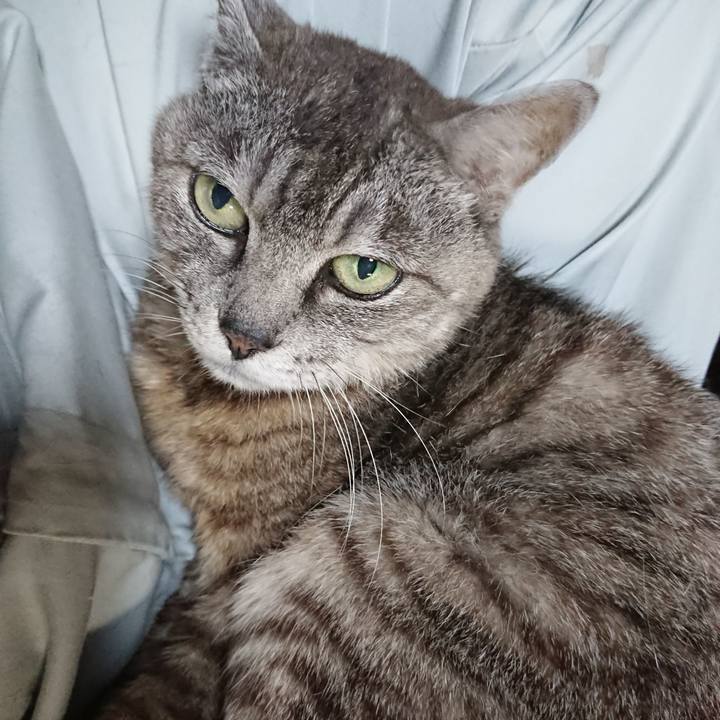 C948f32c c1a8 486c 817b f1e477fb4b47 1566553990502