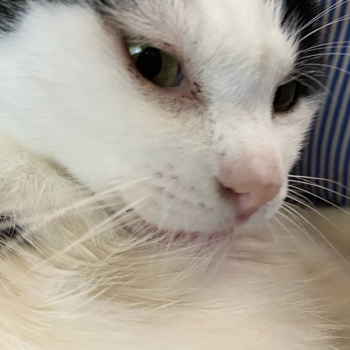 C9490698 53ea 4032 9212 2c4da9e19d5f 1590922258824