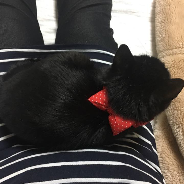 C94917b9 46d1 416d a97f 3e0ce454a7aa 1553081547308