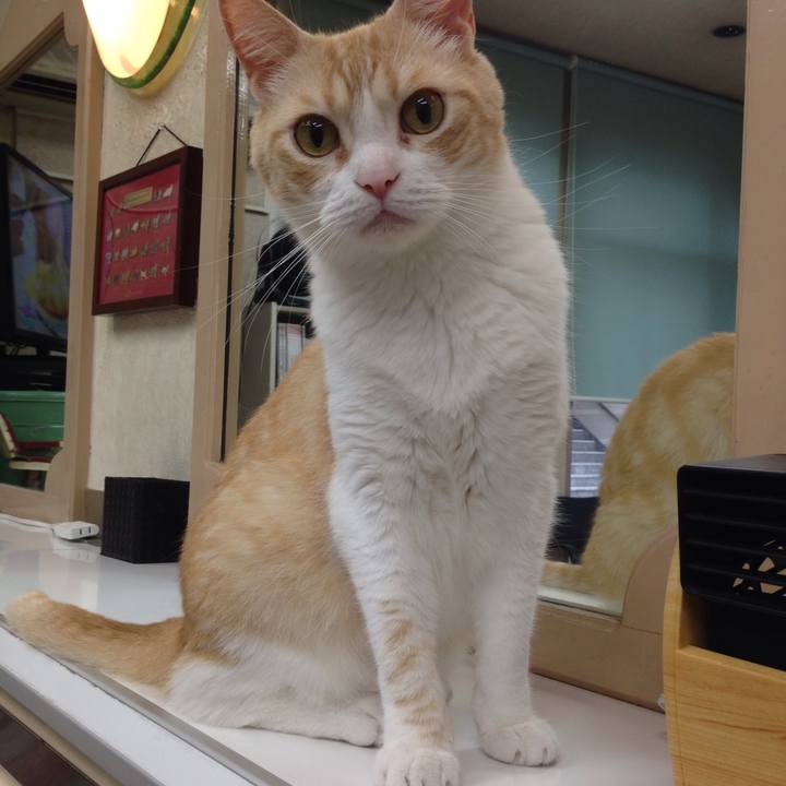 C9492b24 348f 496f a2fa 4c6782e07de7 1512261289349