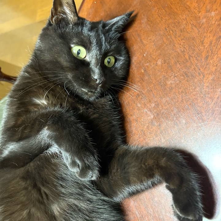 C94964eb 9a5e 426d b285 f4b28a6d1f3c 1756374964283