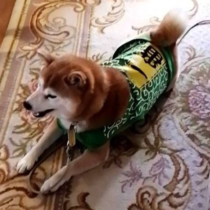 C9496882 f10d 4bef ae18 3dc54610062b 1585917575694