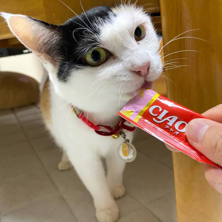 C9496aa4 5769 4673 82de 15645cd8a4a5 1755011377405