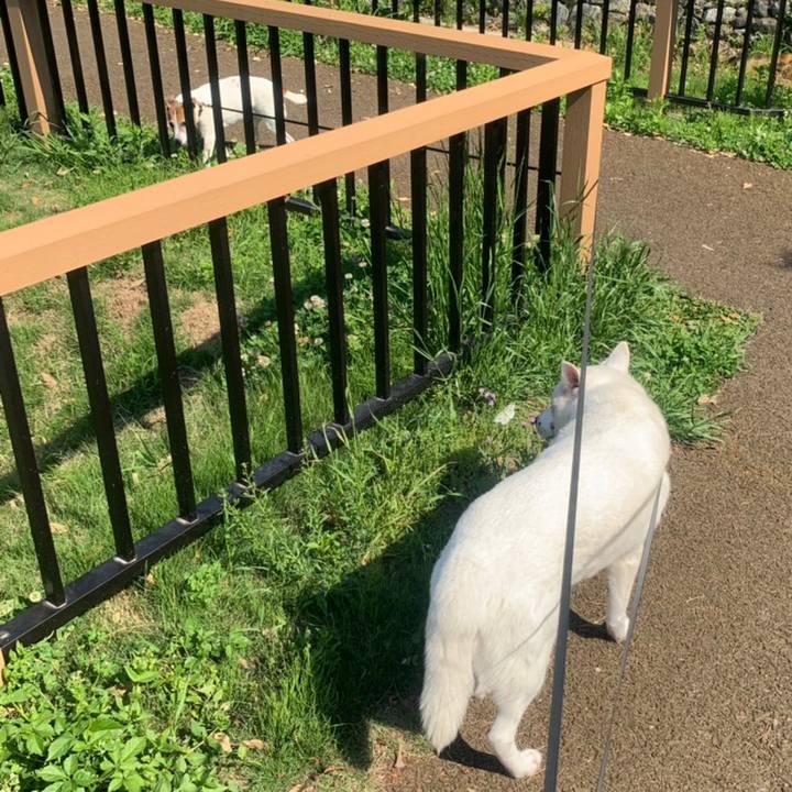 C9496fc1 6d81 47c9 a7ad 19dacbd35fde 1558744644378