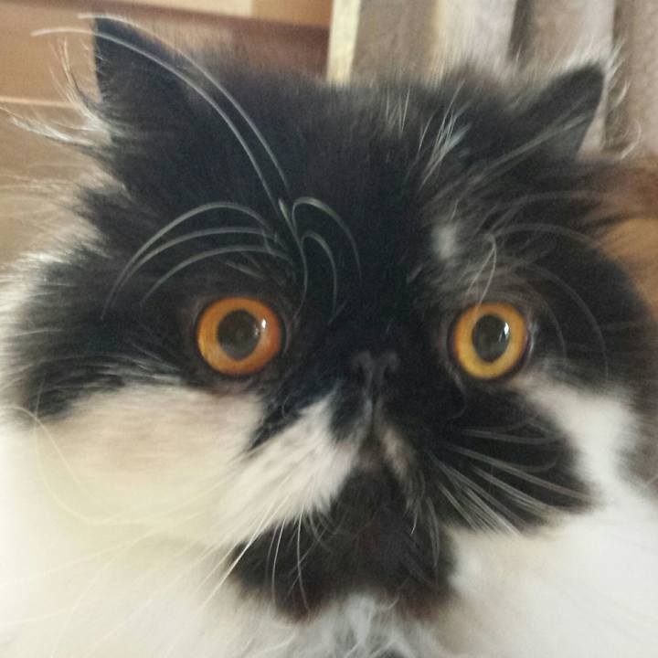 C949727d f167 4558 b1b3 998f6f038378 1525772497834