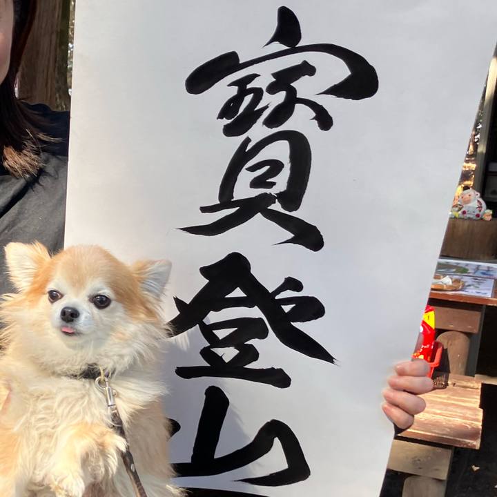 C9498d84 1d56 42fe 8b91 675ceea16f40 1771238414149