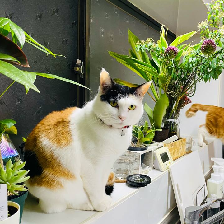 C949be66 7d44 4408 a4d0 441c784a335a 1677156256364