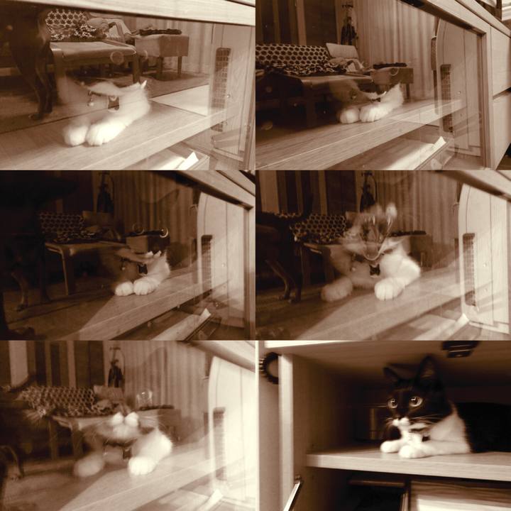 C94a056a 4c75 421d bd21 06d75f960af0 1524358301827