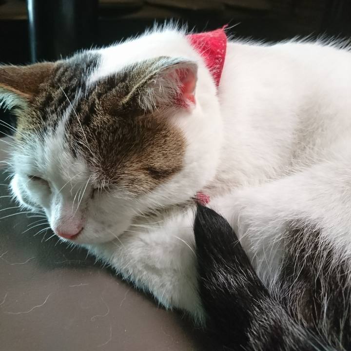 C94a0771 a12a 446d 86dc 5c84d5b9f80a 1534222632574