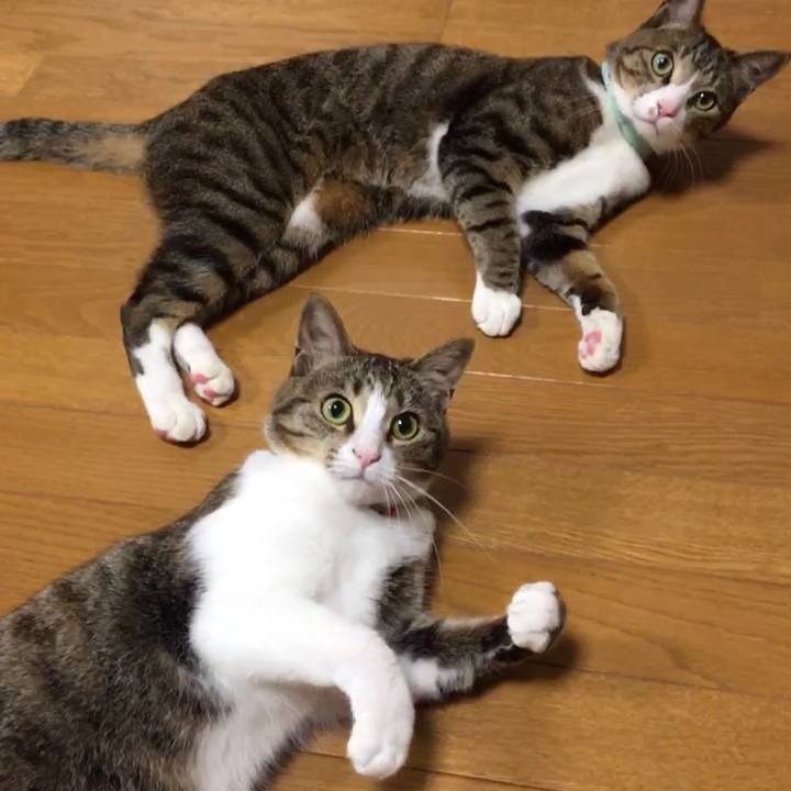 C94a2837 0090 4ec6 852a a98c5a7884d0 1697257472578