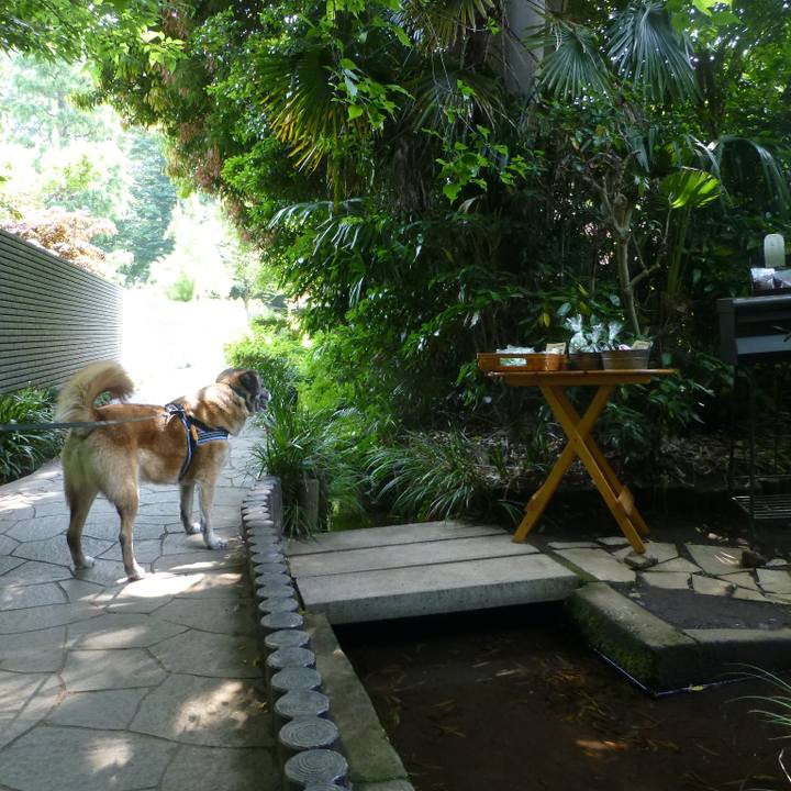 C94a2fd5 4f11 44db 9be5 c5898d75e9d3 1580001798013