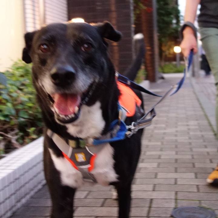 C94a3ce1 0f1a 49fd 9de0 73b92bb96637 1716203800059