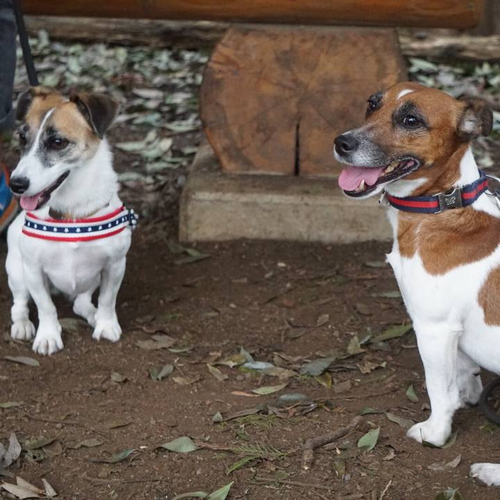 C94a51c0 92d4 4773 ad52 7796a4e2eb36 1539039232189