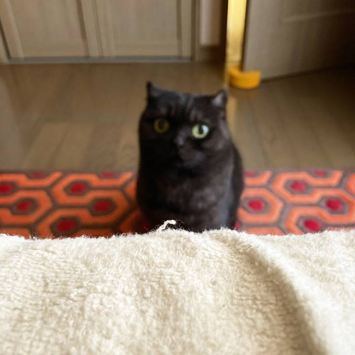 C94a6d63 001b 44e4 bfea 17acca9ce681 1603755502608