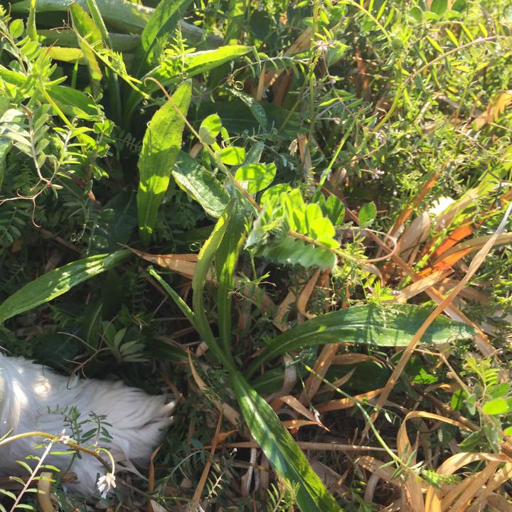 C94a96b2 6e2b 4149 b52b 852e7d422d6b 1552087674227