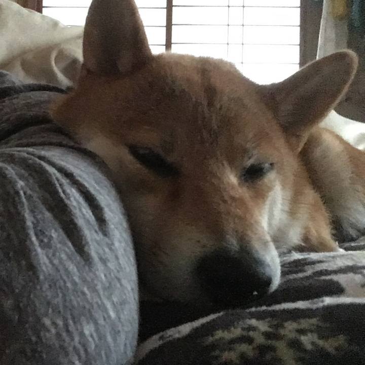 C94ad03e 0e62 4538 91f7 d8d31ea75094 1538426271236