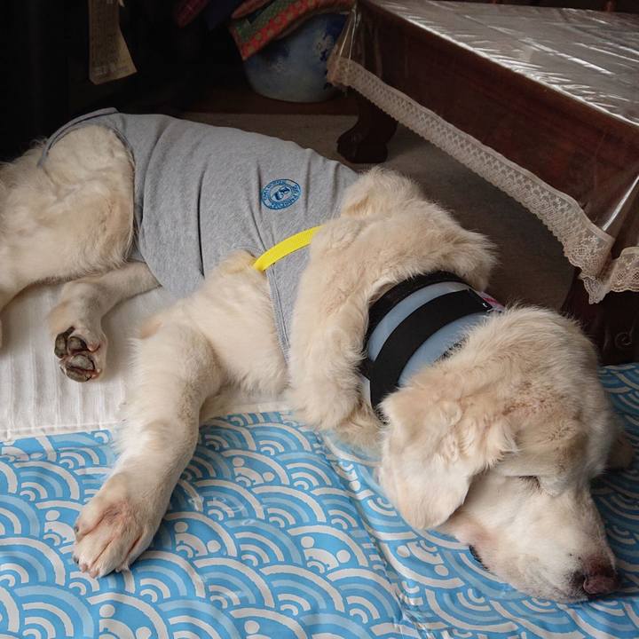 C94ad789 8a7e 4936 a8a3 e69632935c8b 1567142363963