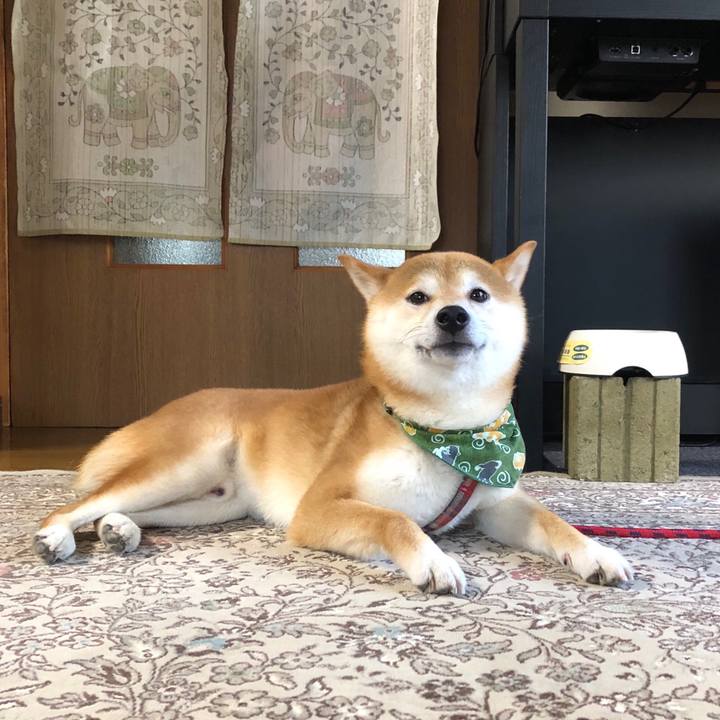 C94ae3ab c0e1 4dd8 8a8b ea4d71d9f806 1531472298241