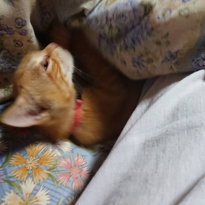 C94b0cdb 4838 4421 8c0e 6957fcabe603 1629404643437