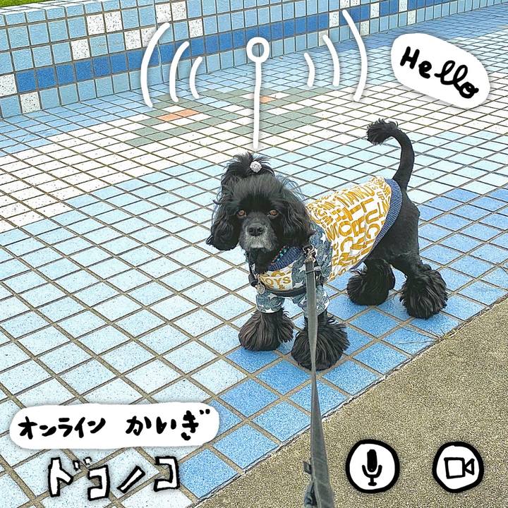 C94b201e e995 47ad b78f fedf7857ecdf 1590715528472