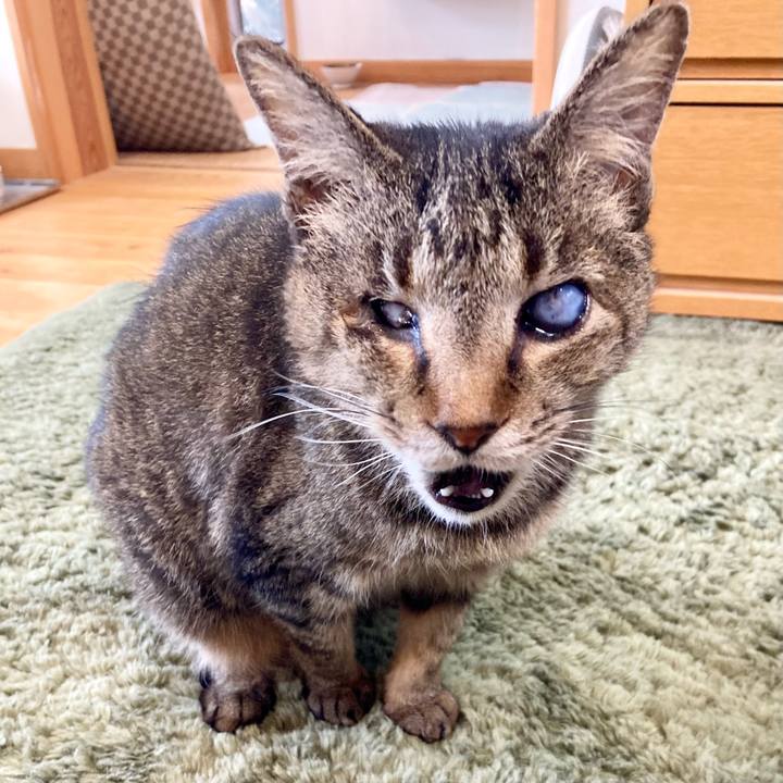 C94b2458 7a65 4108 bdd1 ca7396bc38c9 1676769832107