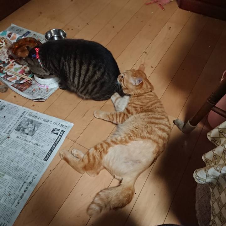 C94b252a cf78 4e9d 8437 a62cd24a014c 1656108336776