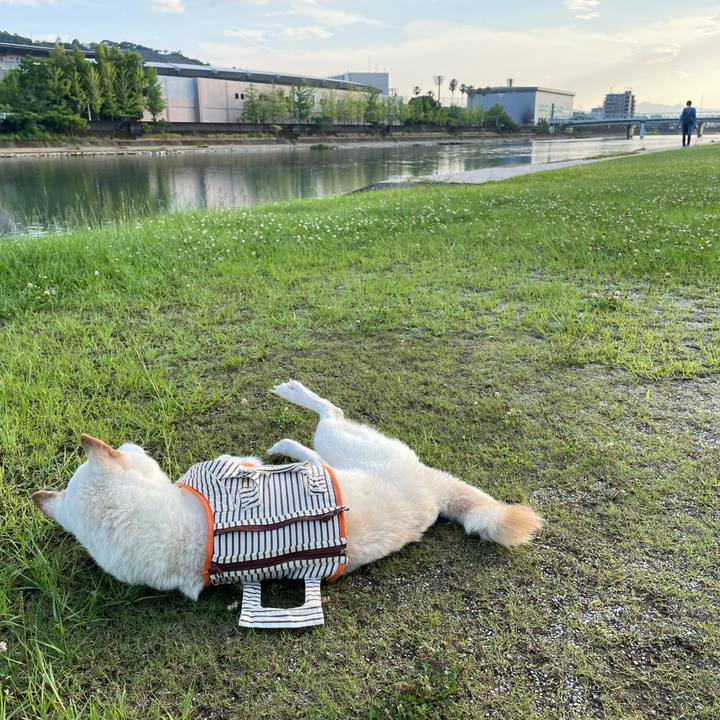 C94b637e e388 43bb bf9b 4df396eb46c1 1657109613919