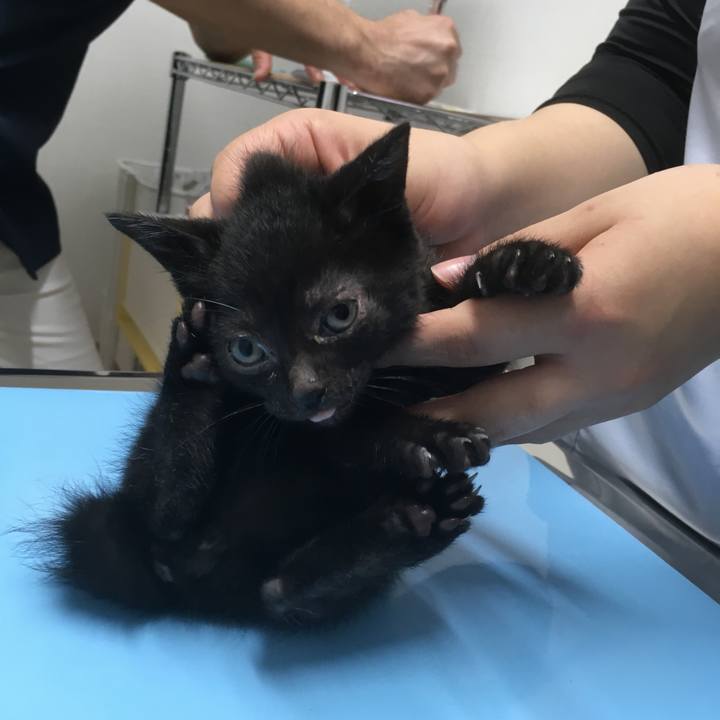 C94b6581 49e2 48ba bacf 9ac33aedddea 1623727305534