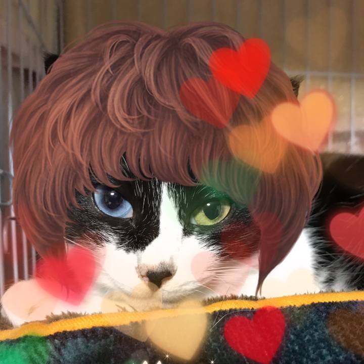 C94b68cb f0b2 4459 8683 8a60d2c488a2 1543760502384