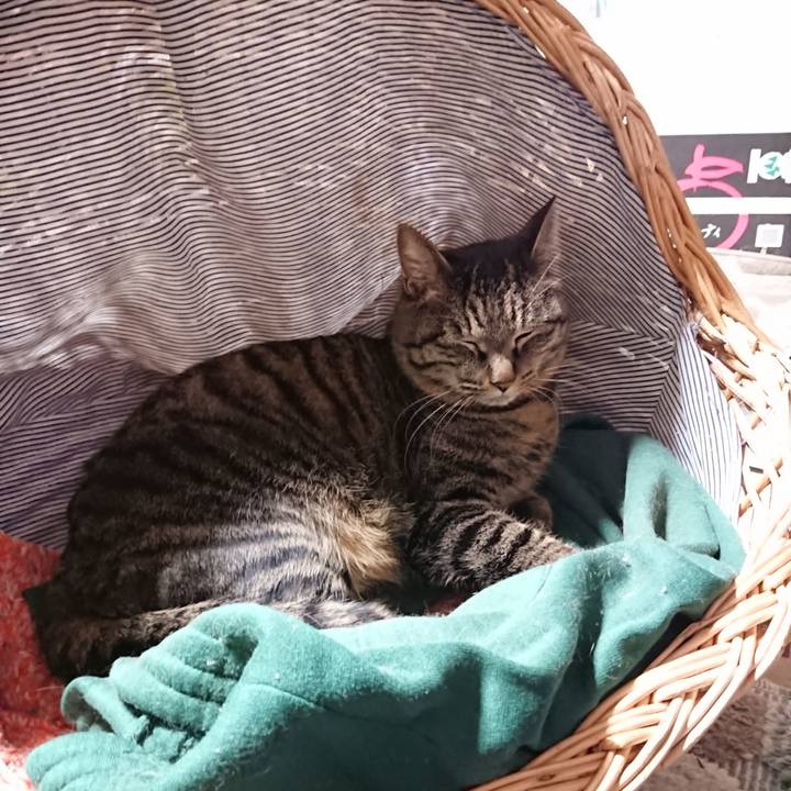 C94b8194 cb9b 4e71 9f4c e4e90d579c61 1644239819917