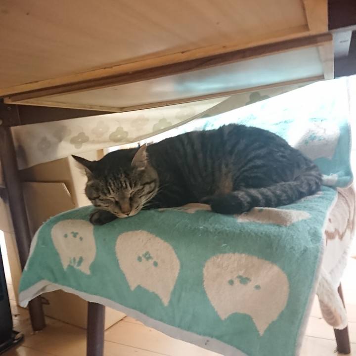 C94b8848 9ce2 4b5e b5f7 ac7b3abb7fc9 1654739997738