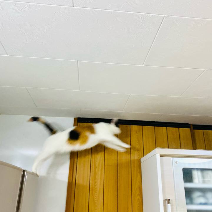 C94b8afe 7224 4123 9a2f 2046dbadcca4 1681212071340