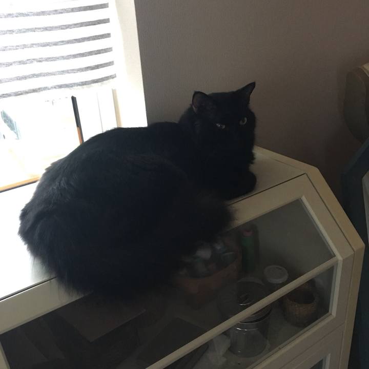 C94b908c ba70 43fe b05d 10283b0f5150 1563508155090