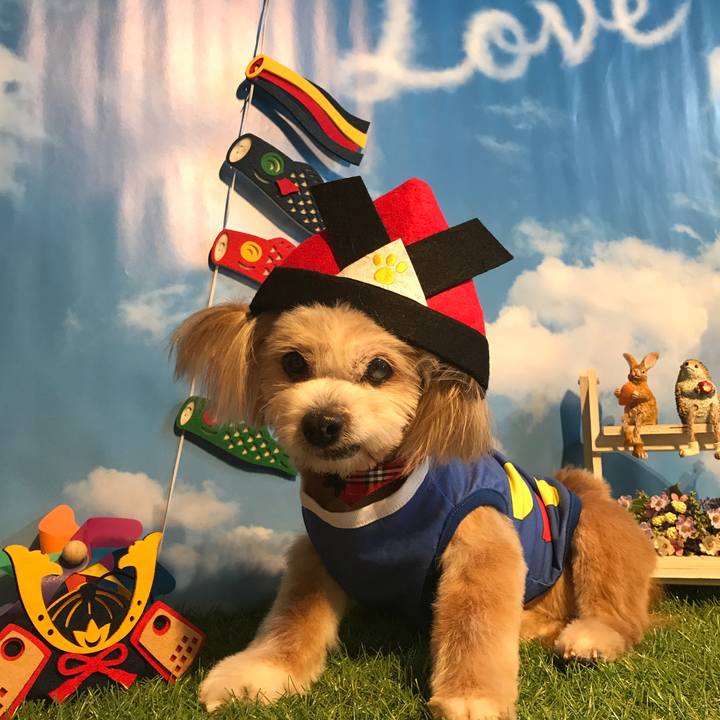 C94b9e60 cd7f 43db 812b 0f92c5c5079d 1525394800539