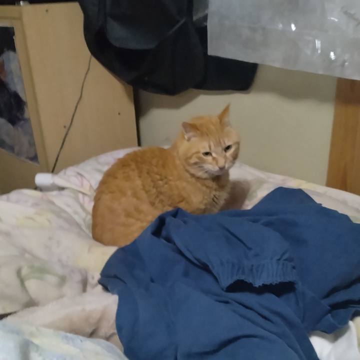 C94bb273 be59 4264 a6c0 348fa7f2da64 1711404678726