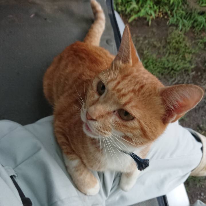 C94c12b3 0544 49bd 814f 0291e57c8649 1566550564505