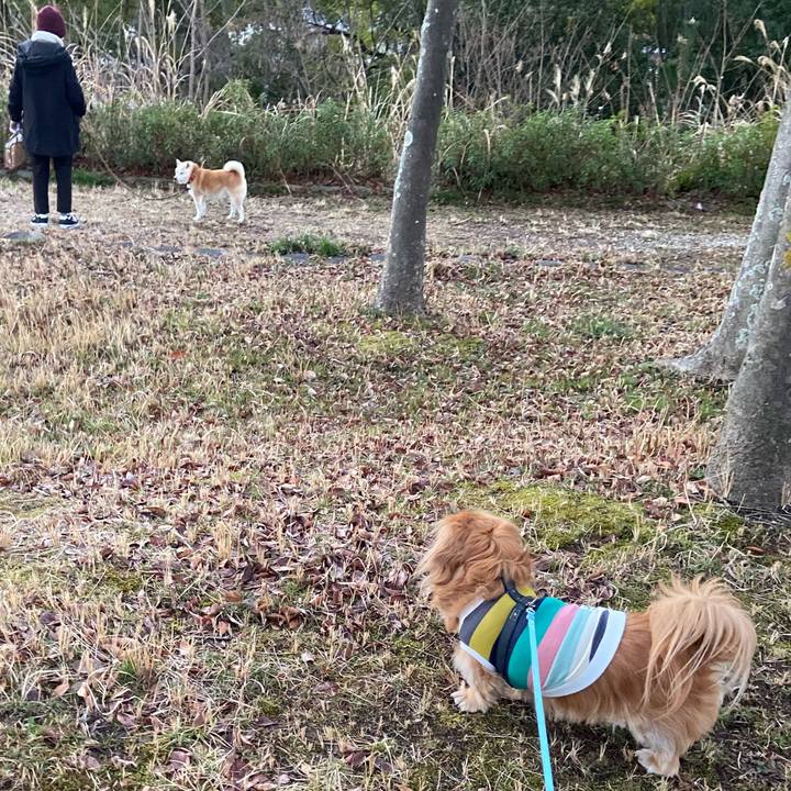 C94c3334 4248 4f55 a93f a6572ac0241c 1614721713836