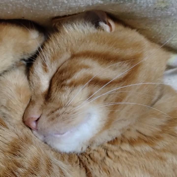 C94c3b14 1eb2 41df 87df 3857b85ee507 1698667453430