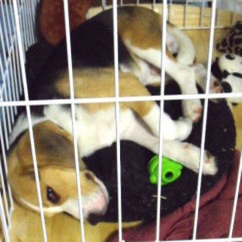 C94c6608 e480 4d40 9305 1aba3f339b78 1683678679128