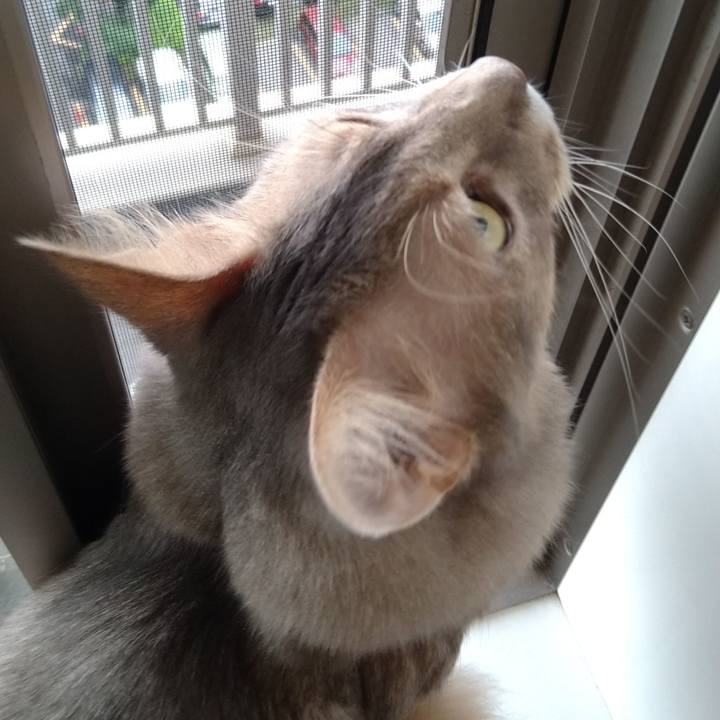 C94c7923 fc38 4a9f 8d38 34273a249889 1624699055588