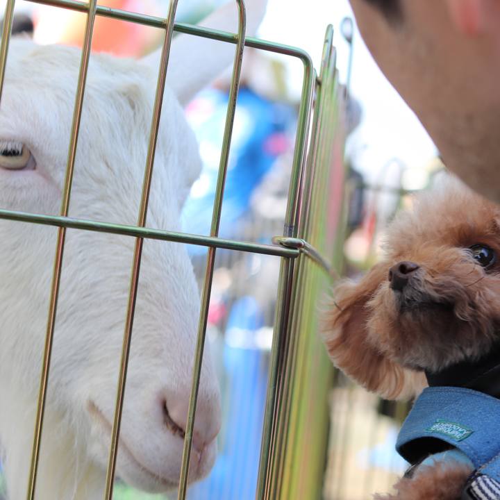 C94c8443 e60c 4bf3 8d1b 8f6eb86e8295 1552793773213