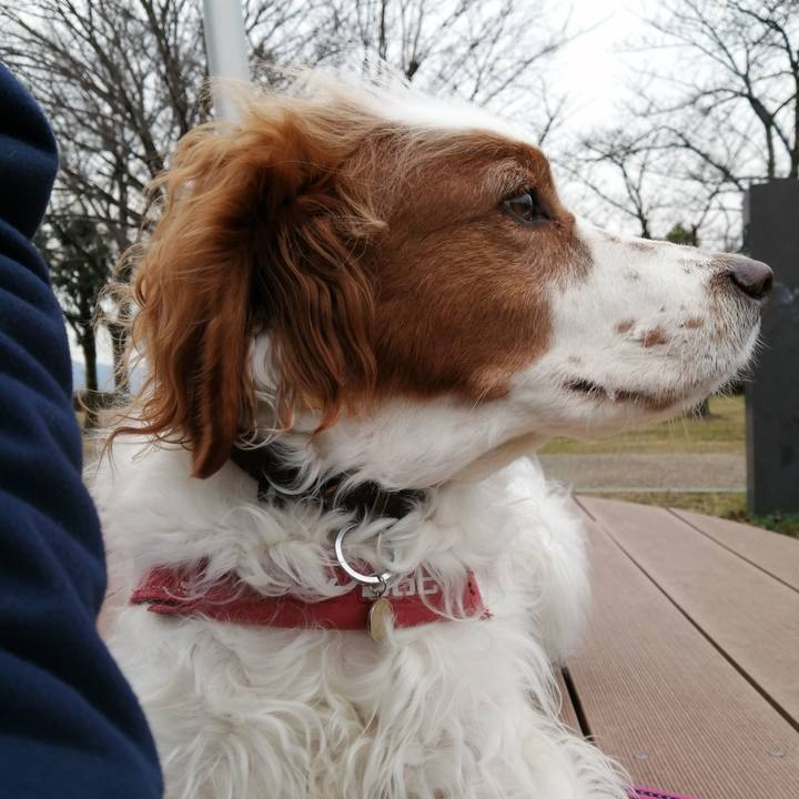 C94c9807 1f44 44d9 846f 8db5004f4f2a 1609837502424