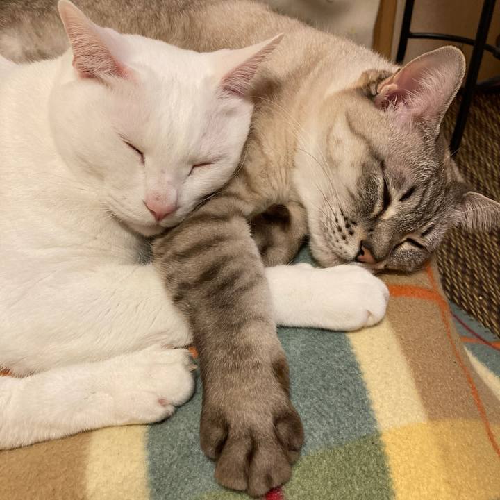 C94cb934 37b3 43ec bdbd c5702cae73fe 1641142222613