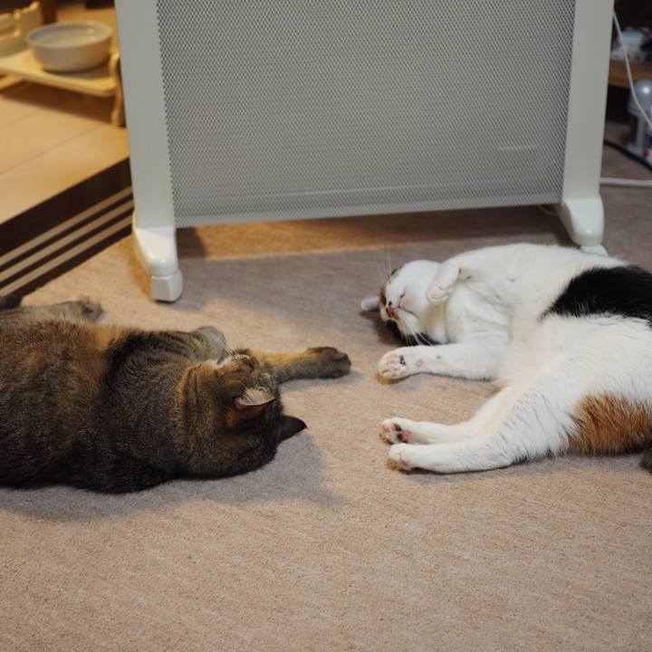 C94ccc95 e4bd 4b92 a006 48cdee0fc7a7 1545054681001