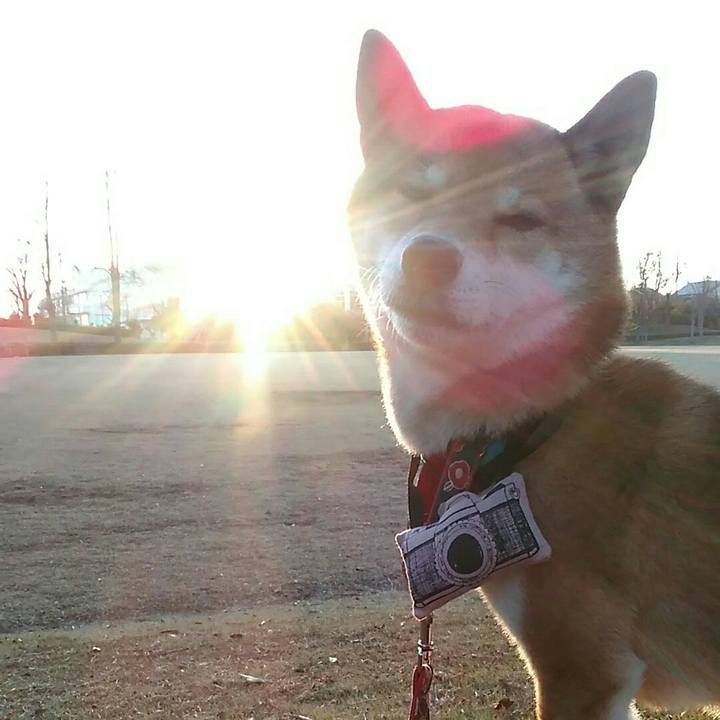 C94d386c 4c58 4036 b62e 3223c0f3a130 1545901062693