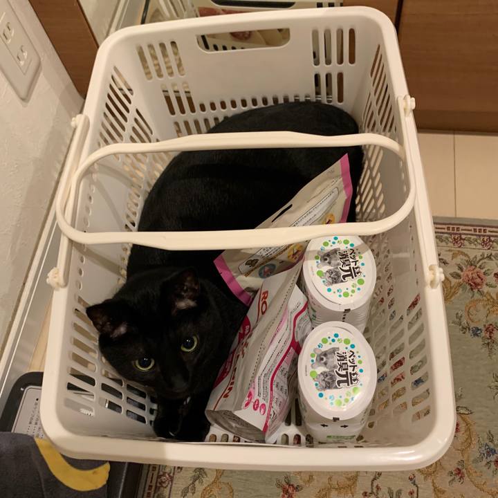 C94d5e60 4e74 401e bd31 50947acef669 1599297360132