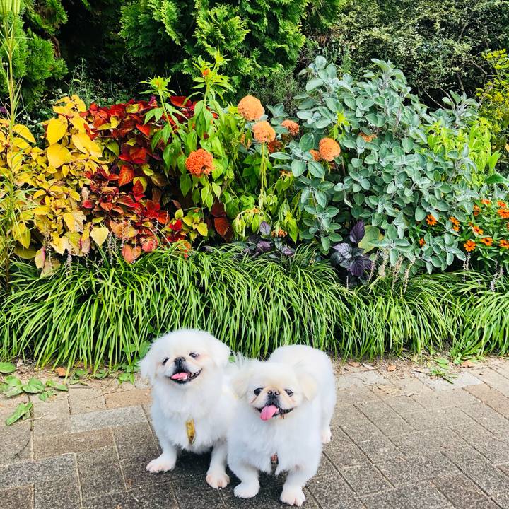 C94d637c 9e7f 4de8 881c eab8ea2260be 1633132939672