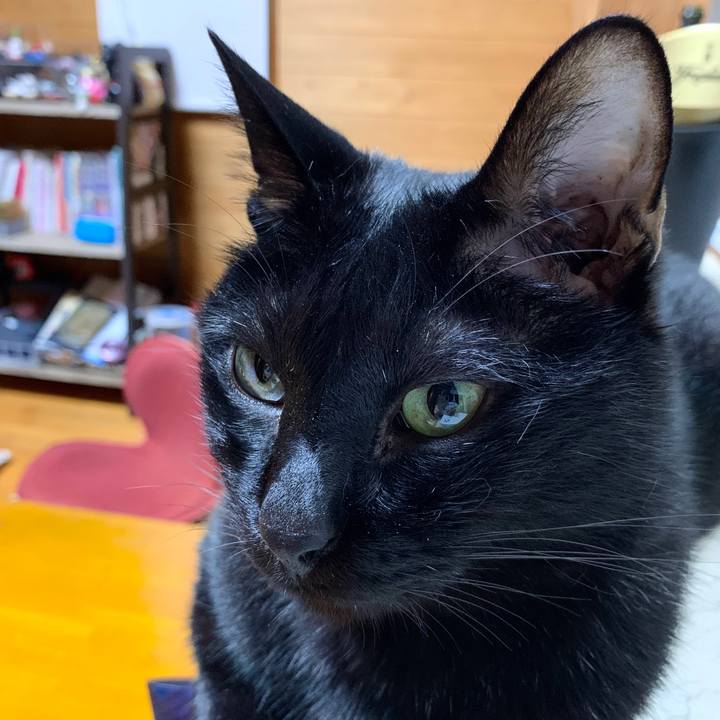 C94d886c 043d 46b8 8025 2cf9bd21e2cc 1592051306214